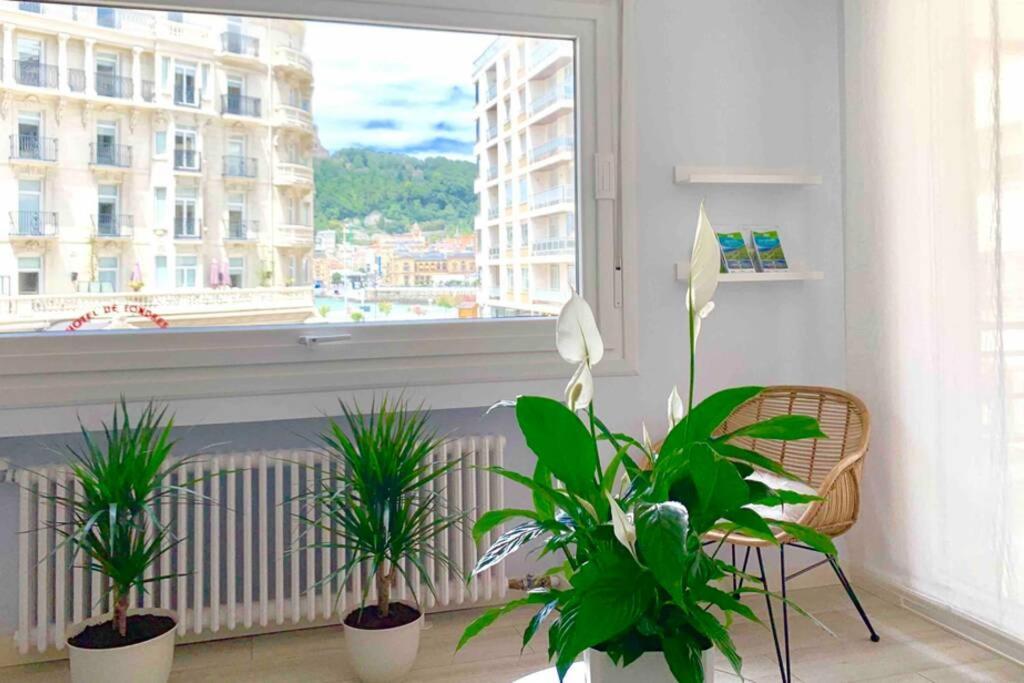 New Gorgeous Central Apartment - Beachfront - 3 Bd San Sebastián Eksteriør bilde